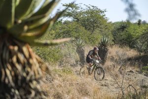 B&BushDESCENT2Hi-4601