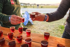 B&BushDESCENTRegHi-9362