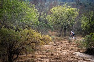 Mountain bikers tackling the course at the 2026 Standard Bank Berg and Bush 2-Day, Day 1, in the KwaZulu-Natal Drakensberg